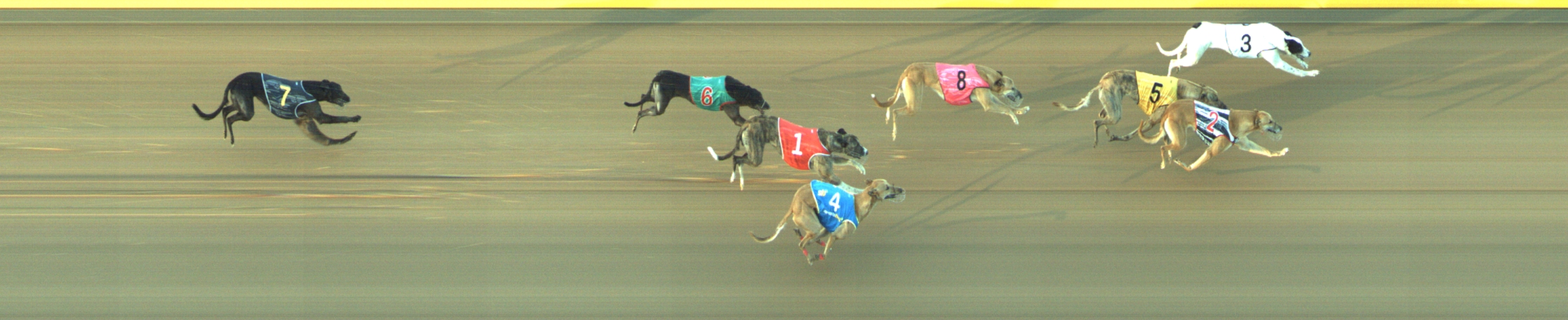 Race result finish photo